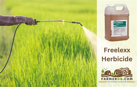 Freelexx® Herbicide — Land Management